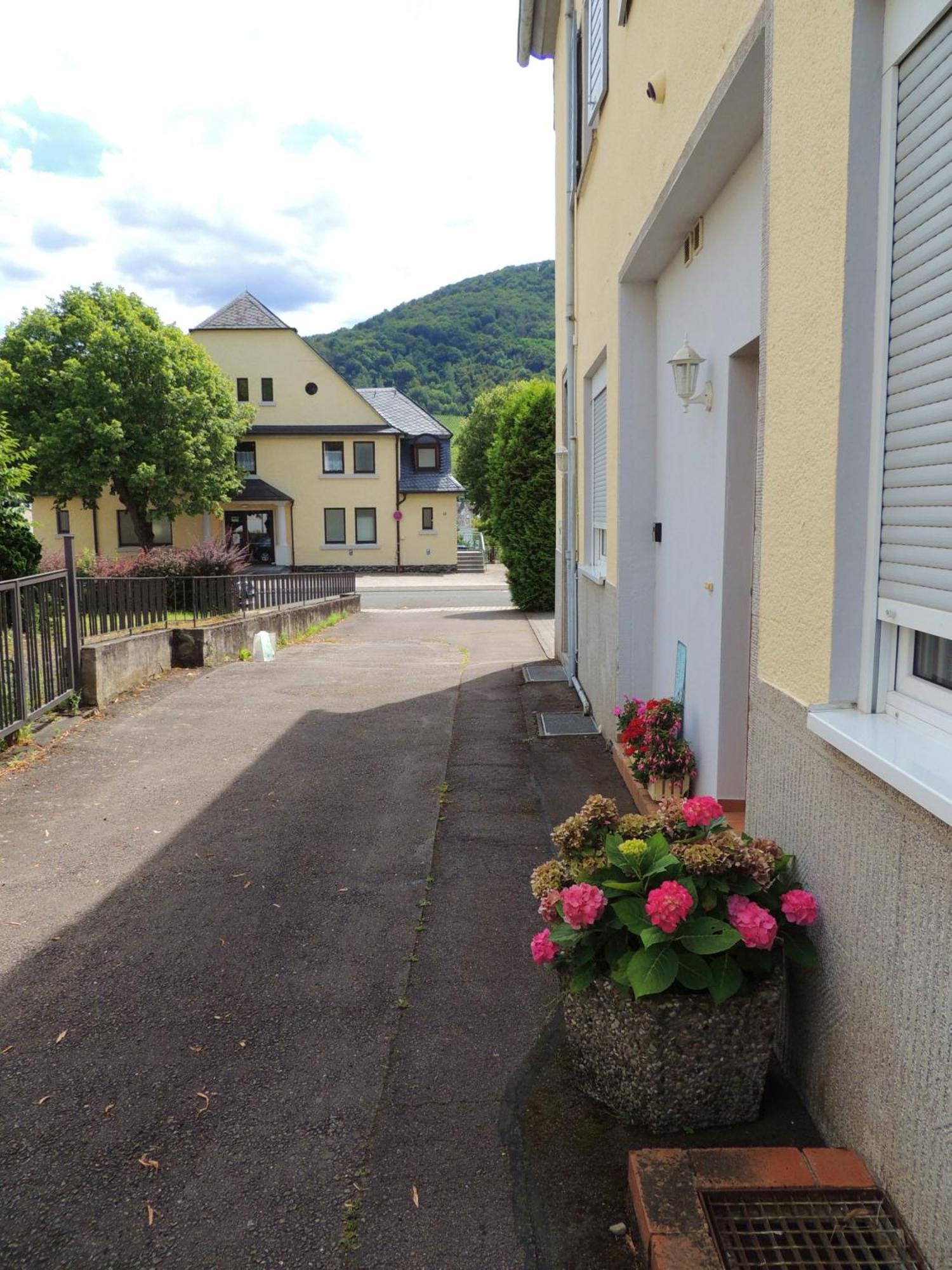 Ferienwohnung Afrika Bernkastel-Kues Esterno foto